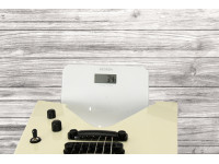 ESP LTD James Hetfield Signature Vulture Olympic White ESP LTD James Hetfield Signature Vulture Olympic White